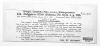 Polyporus ribis image